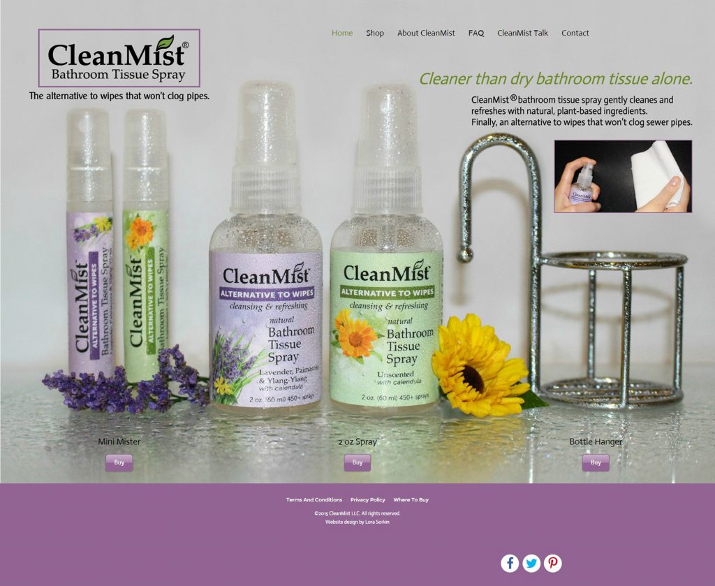 website design by Lora Sorkin